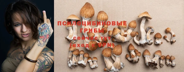 гидропоника Богородск