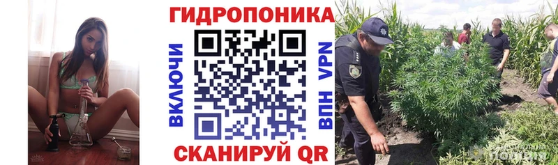 МАРИХУАНА индика  даркнет официальный сайт  Черняховск 
